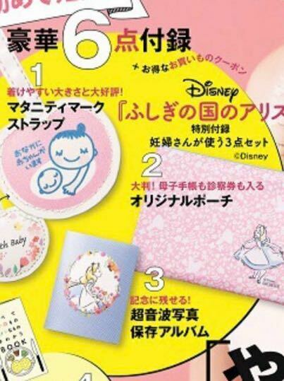 【●新品●送料無料　即決●】 妊婦さん　マタニティ　エコー写真　アルバム　マルチポーチ　赤ちゃん　セット