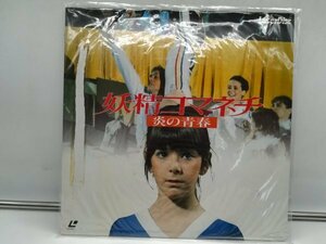 LD laser disk .. koma nechi.. youth SF050-1533 laser disk LD