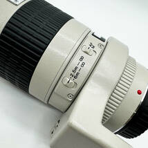 ◆美品 動作確認済み◆ キャノン Canon EF 300mm F4 L USM / 三脚座 ・フィルター付属 / 単焦点 望遠レンズ 【4101】_画像6