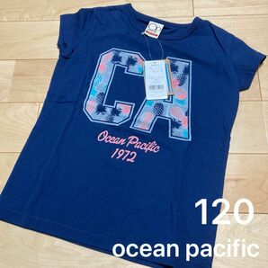 ocean pacific シャツ　120