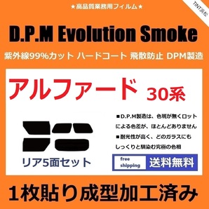 ◆１枚貼り成型加工済みフィルム◆ アルファード AGH30W AGH35W GGH30W GGH35W AYH30W 【EVOスモーク】 D.P.M Evolution Smoke ドライ成型の画像1