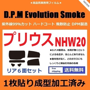 ◆１枚貼り成型加工済みフィルム◆ プリウス NHW20　【EVOスモーク】 D.P.M Evolution Smoke ドライ成型