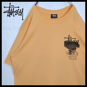 《STUSSY/ステューシー》アート　フォトプリント　Tシャツ　半袖