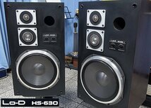 Lo-D HS-630 ♪ Lo-D 黄金期の逸品 70年代 銘機♪【チューン・システム／美品】_画像1