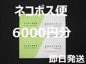 【送料無料　ネコポス　追跡　匿名】　アダストリア　株主優待券　6000円分