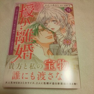 ☆4月新刊☆授か離婚(6巻)☆かんべあきら☆