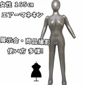 マネキン エアー マネキン 女性 トルソー 展示用 撮影用