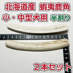 小型〜中型犬用　蝦夷鹿の角　半割り2本セット　鹿の角　犬　シカ　ツノ