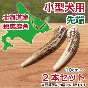 小型犬用　蝦夷鹿の角　2本セット　北海道産　鹿の角　犬　おもちゃ　シカ　ツノ