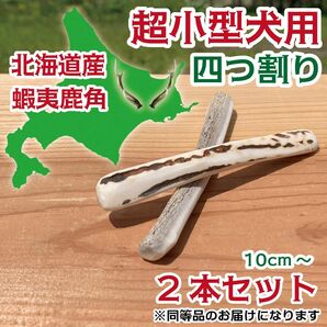 超小型犬用　蝦夷鹿の角　四つ割り2本セット　エゾシカ　ツノ　犬　鹿の角