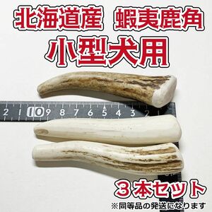 小型犬用　蝦夷鹿の角　3本セット　北海道産　鹿の角　犬　おもちゃ　シカ　ツノ