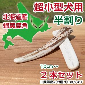 超小型犬用　蝦夷鹿の角　半割り2本セット　北海道産　鹿の角　犬　おもちゃ　シカ