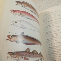 原色日本魚類図鑑_画像9