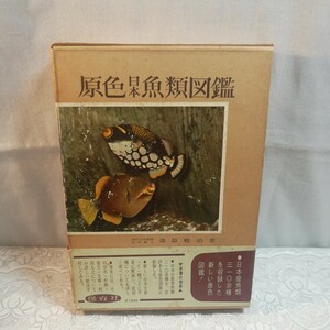 原色日本魚類図鑑　〔正〕 （保育社の原色図鑑　５） （改訂版） 蒲原稔治／著