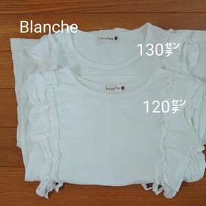 Tシャツ 二枚セット　半袖　Blanche　120㌢　130㌢