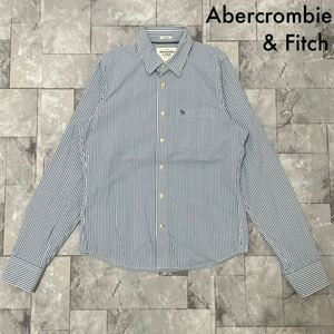 Abercrombie&Fitch アバクロ ストライプシャツ 長袖 刺繍ロゴ カジュアル ブルー ホワイト サイズL 玉SS1677
