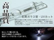 WISH/ウィッシュ 前期 20系 純正HID車 交換バルブ D4S 6000K 8000K 選択 ヘッドライト 2本セット_画像2