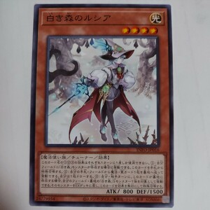 遊戯王　白き森のルシア　ノーマル