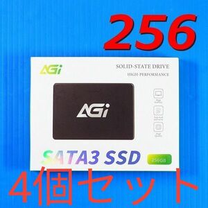 【SSD 256GB 4個セット】AGI AI238 AGI250GIMAI238