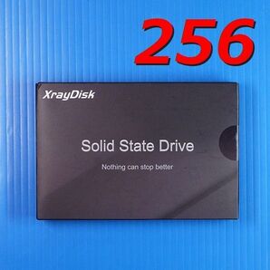 【SSD 256GB】XrayDisk SATA3 256GB
