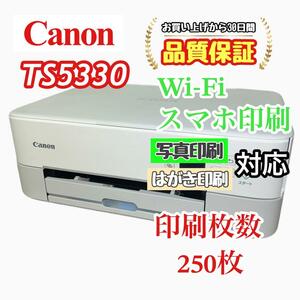 P02563 Canon プリンター TS5330 印刷枚数250枚！！