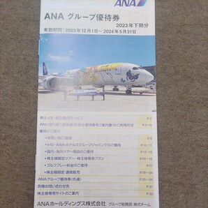 ANAグループ優待券7枚1円（ミニレター送料込み64円）冊子は送りません！の画像1