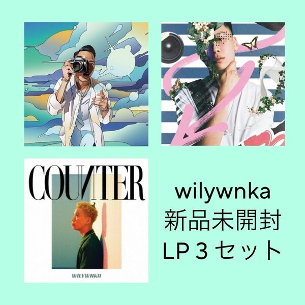 wilywnka SACULA PAUSE COUNTER レコード