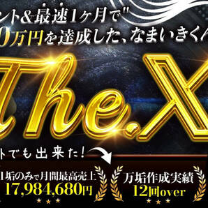 【The. X 】 複数アカウント&最短1ヶ月で月収100万円を達成した、なまいきくん流X運用術！の画像1