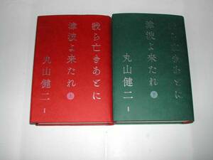  подпись книга@* Maruyama Kenji [.... через . цунами .. соус сверху * внизу ] первая версия * с лентой * автограф 