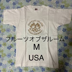 フルーツオブザルームTシャツ Mサイズ ヴィンテージ