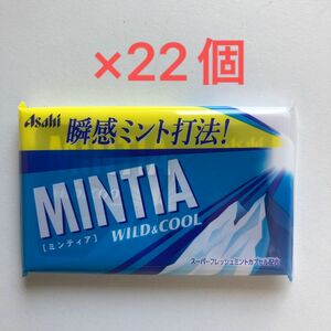 ミンティア ワイルド&クール 50粒入り 7g ×22個