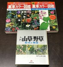 送料込! 薬草カラー図鑑 正 続 わたしの健康 別冊 主婦の友社 入門 山草 野草 栽培と繁殖 神戸山草会 3冊セット (Y24)_画像1