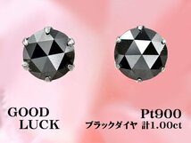 【新品・未使用】1円～最落無 天然ブラックダイヤモンド 計1.00ct,プラチナ 漆黒の輝き放つ ブラックダイヤモンド スタッド ピアス_画像1