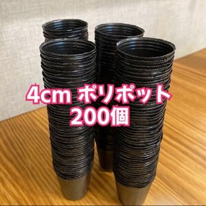 ＊4cm ポリポット＊200個