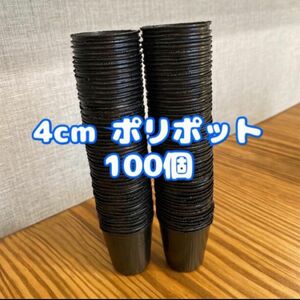 ＊4cm ポリポット＊100個