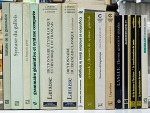 r0401-15.言語学 書籍まとめ/フランス語/Linguistic/洋書/生成文法/構文/FRANAIS/辞書/辞典/ウェールズ語/ノーム・チョムスキー/言語哲学