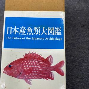 04128 中古品書籍 日本産魚類大図鑑 益田一/尼岡郁夫/荒賀忠一/上野輝彌 他 写真/画像/イラスト/解説 東海大学出版会 ※箱付きの画像2