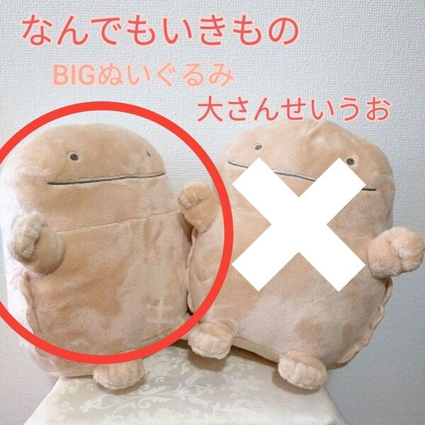 【新品タグ付き】よこみぞゆり なんでもいきもの BIGぬいぐるみ 大さんせいうお 1体