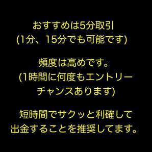 ※勝ち過ぎ注意。ローソク足を見るだけでエントリー可能！初心者のためのバイナリーオプション最強ロジック！/サインツール,FXの画像3