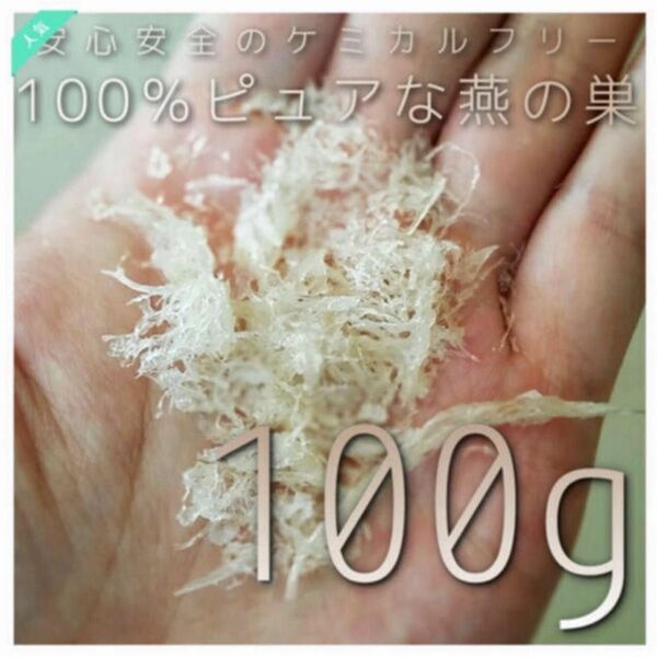 ツバメの巣　パウダー　100g マレーシア産