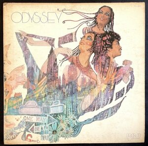 超音波洗浄済み US盤 LP レコード Odyssey オデッセイ ネイティヴ・ニューヨーカー Native New Yorker モダンディスコ シティソウル