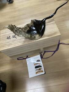 玉川みほの作 北風 TAMAGAWA mihono 漆芸 オブジェgalerie H 作家 アーティスト / モダン アート 現代アート インテリア 大型