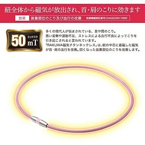 ファイテン RAKUWA 磁気チタンネックレス メタルブラック 50cm 0217TG743253 phiten ラクワの画像2