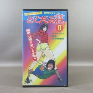 M686●HC-399「オリジナル・ビデオ・アニメ 独身アパート どくだみ荘II(2)」VHSビデオの画像1