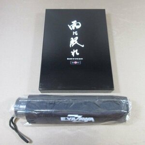 D300●矢沢永吉 ビビアン・スー 三浦春馬「雨に眠れ 特別版 Special Edition」DVD 折りたたみ傘付き