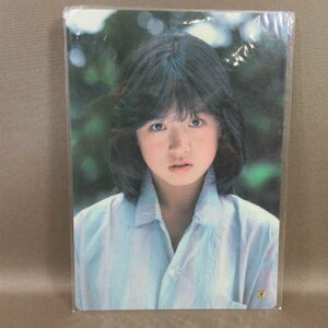 B430●中森明菜 下敷き 昭和アイドル レア Amada アマダ 研音 当時物 プラスチック製下敷き 80年代アイドル 昭和レトロ