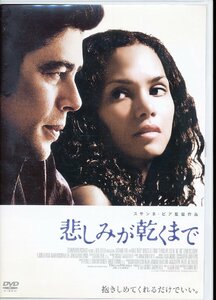 K276●スサンネ・ビア監督「悲しみが乾くまで」DVD