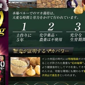 AM-11 極神 マカ 100,000mg サプリ グルコン酸 亜鉛 1,170mg シトルリン アルギニン サプリメント 厳選成分161種配合60粒 訳あり の画像8