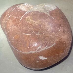 インドネシア ジャワ島産天然アンモナイト化石406g磨き済み^ ^ カルサイト付き^ ^の画像3