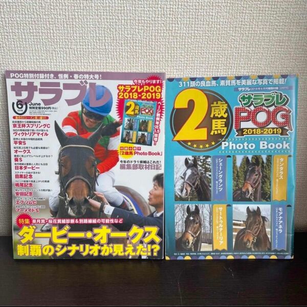 サラブレ 競馬雑誌　2018年　6月　競馬　雑誌サラブレPOG